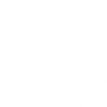 snow flake